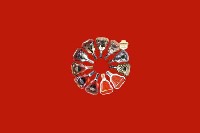 清远市回收红酒